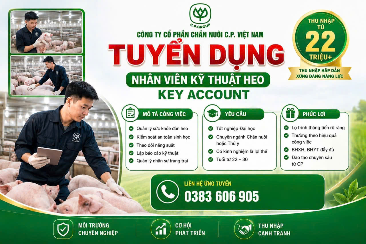C.P. Việt Nam Tuyển Dụng Nhân Viên Kỹ Thuật Heo - Key Account Thu Nhập Từ 22 Triệu