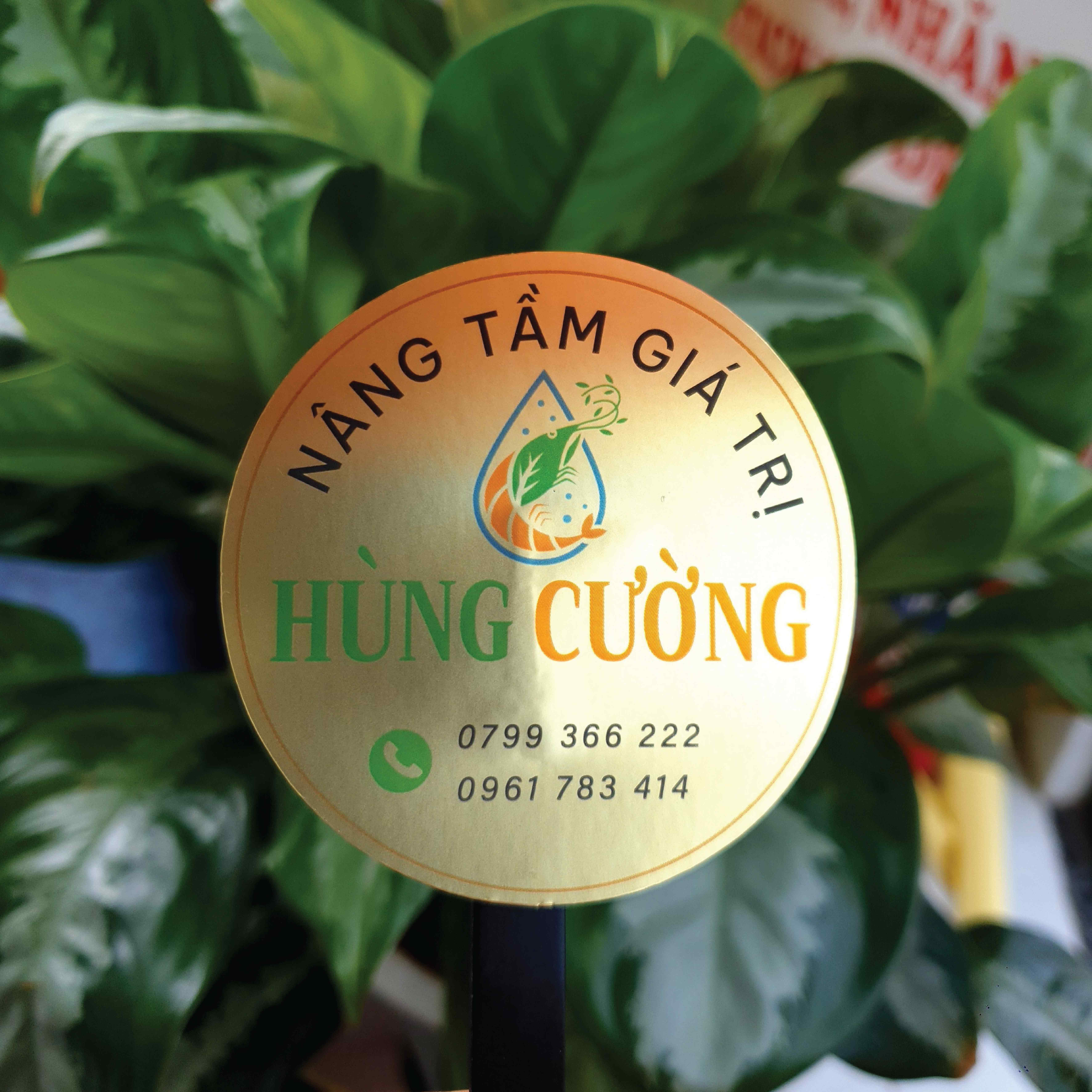 Mẫu tem tròn