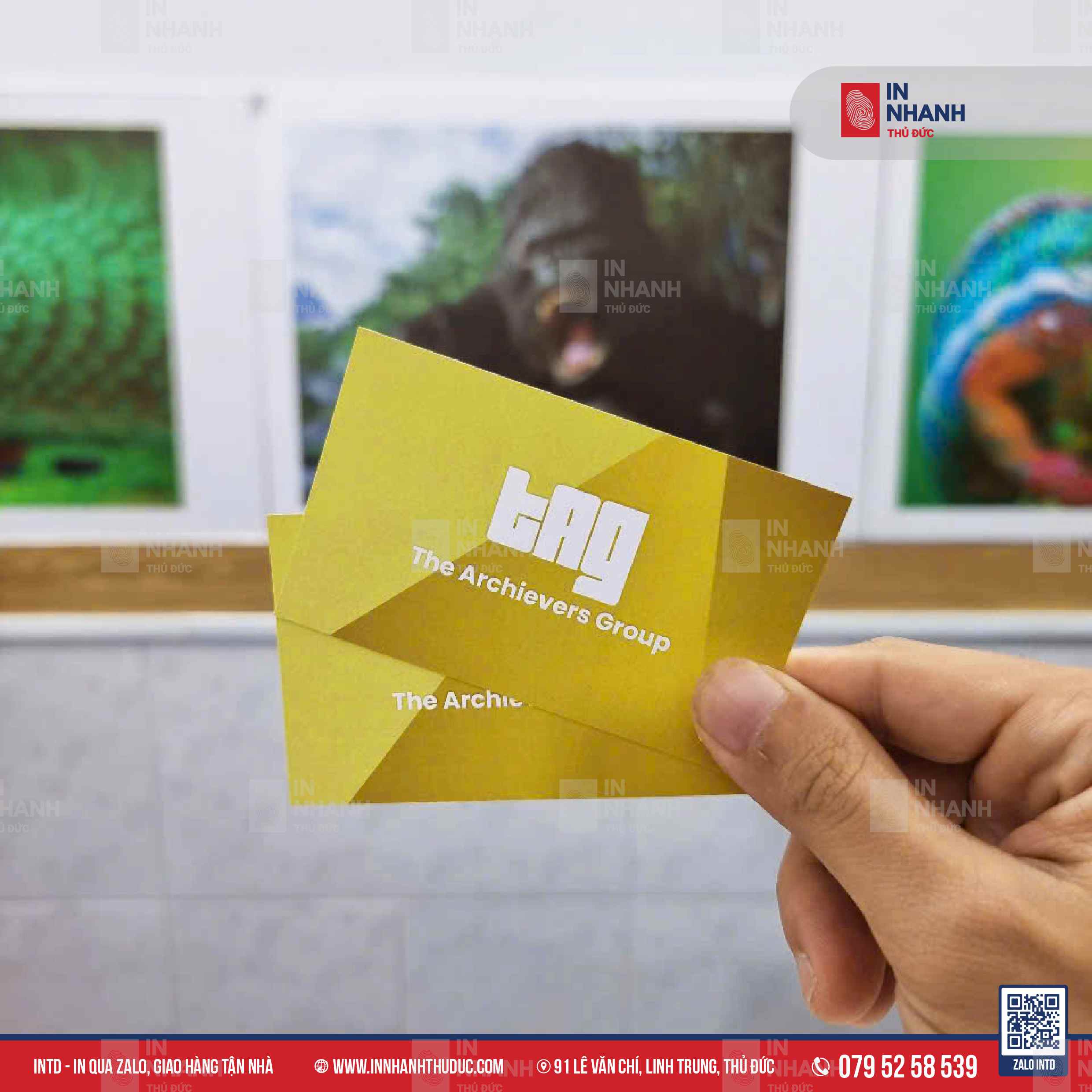 Danh thiếp - INTD