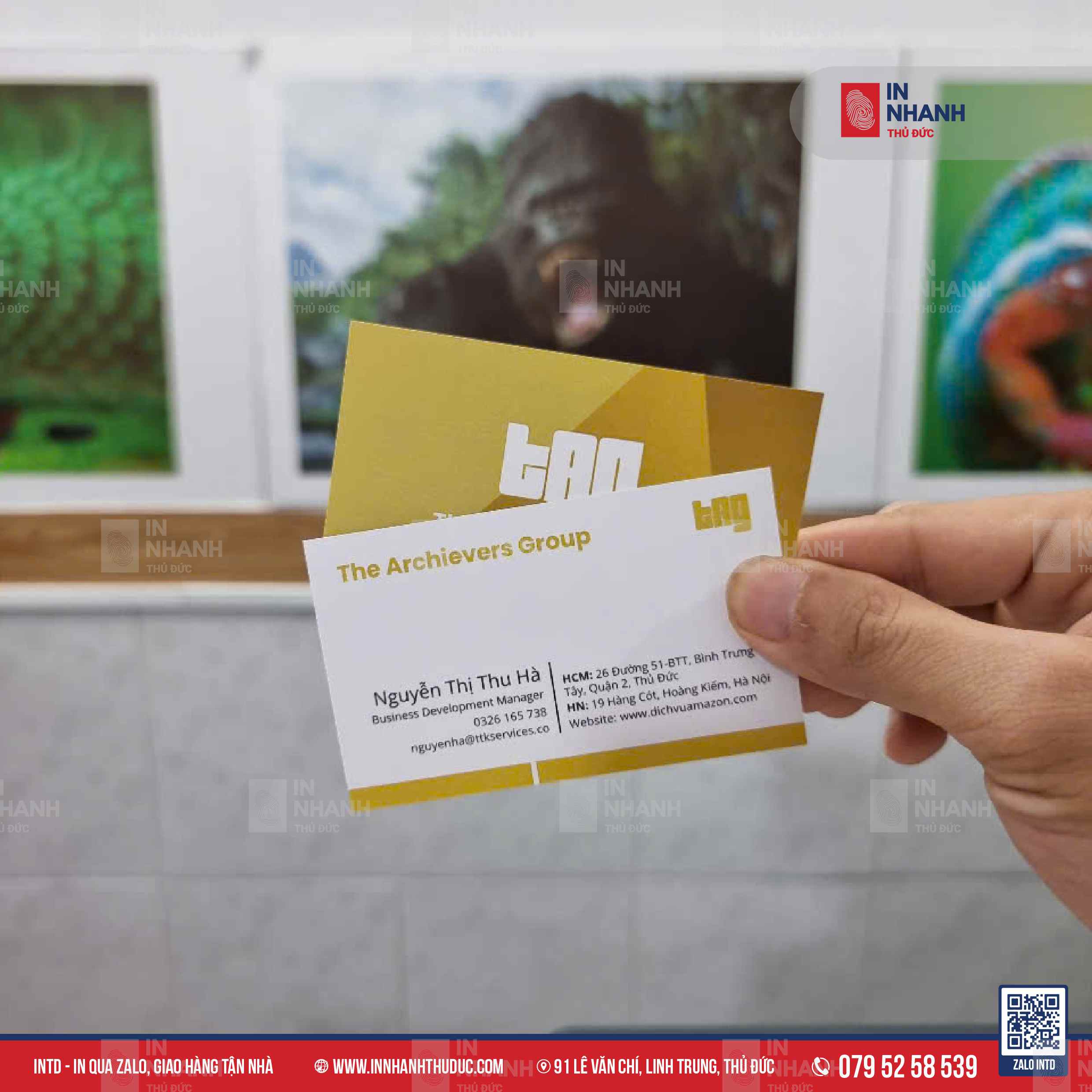 Danh thiếp - INTD
