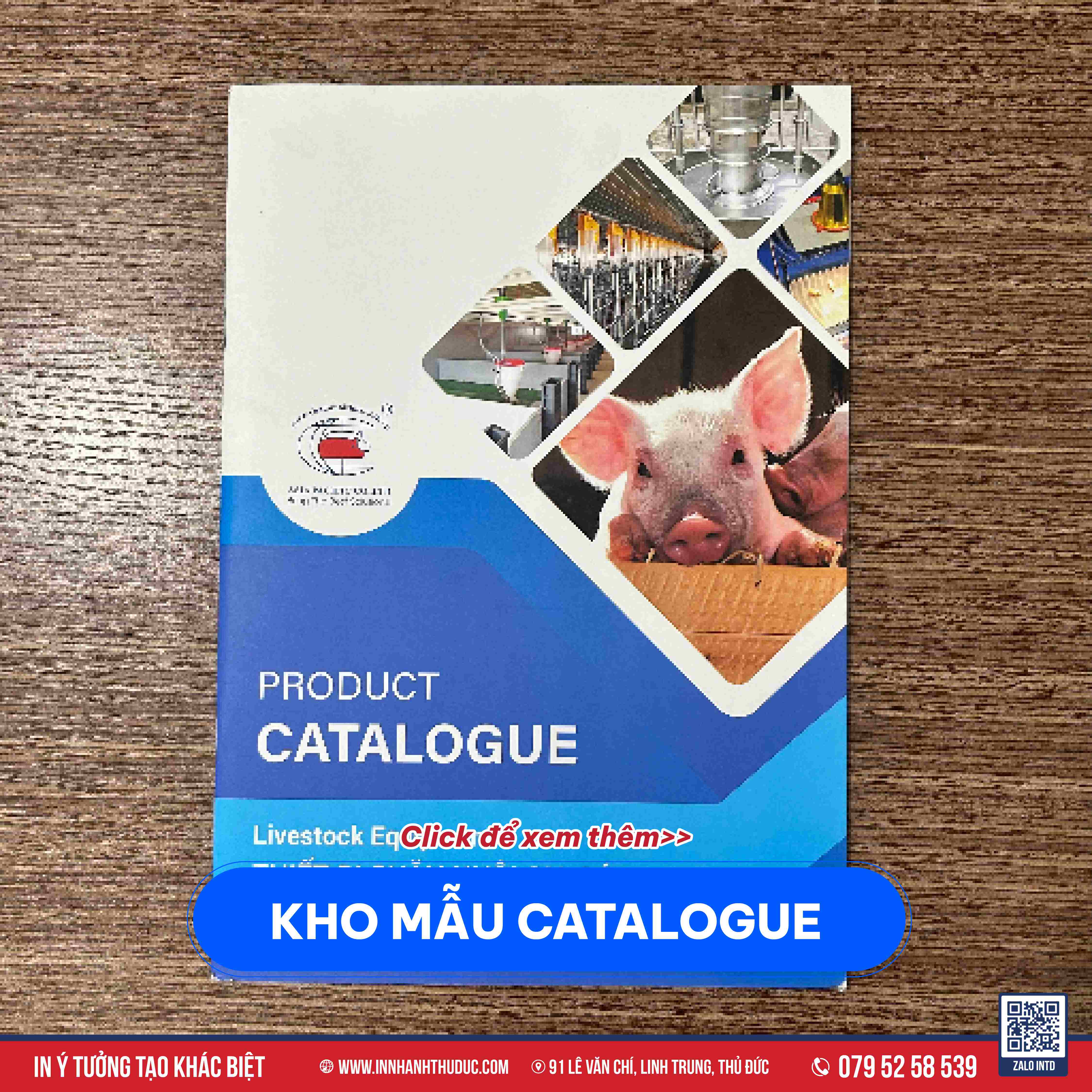 IN ẤN CATALOGUE - IN NHANH THỦ ĐỨC - 0795258539