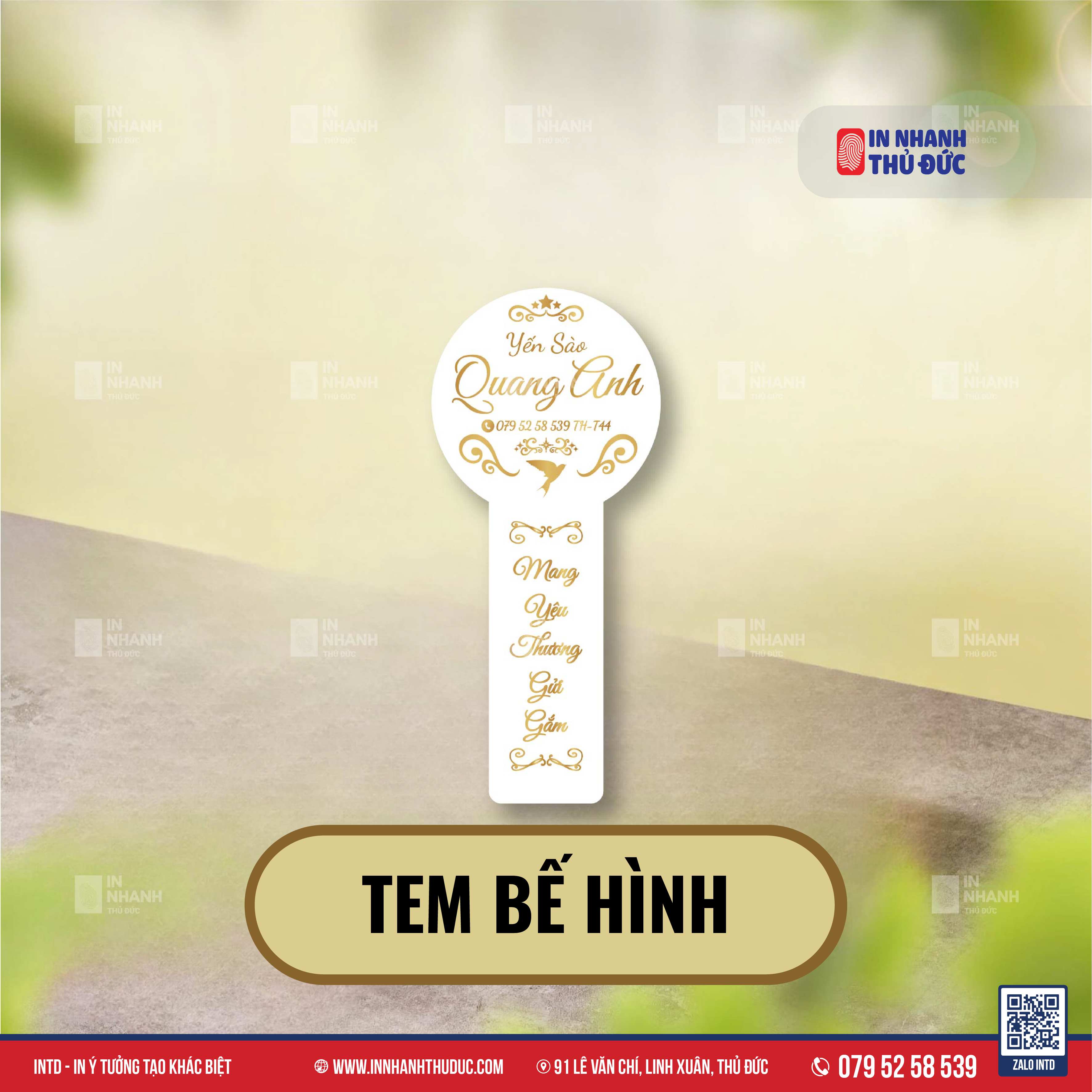 Tem Theo Hình