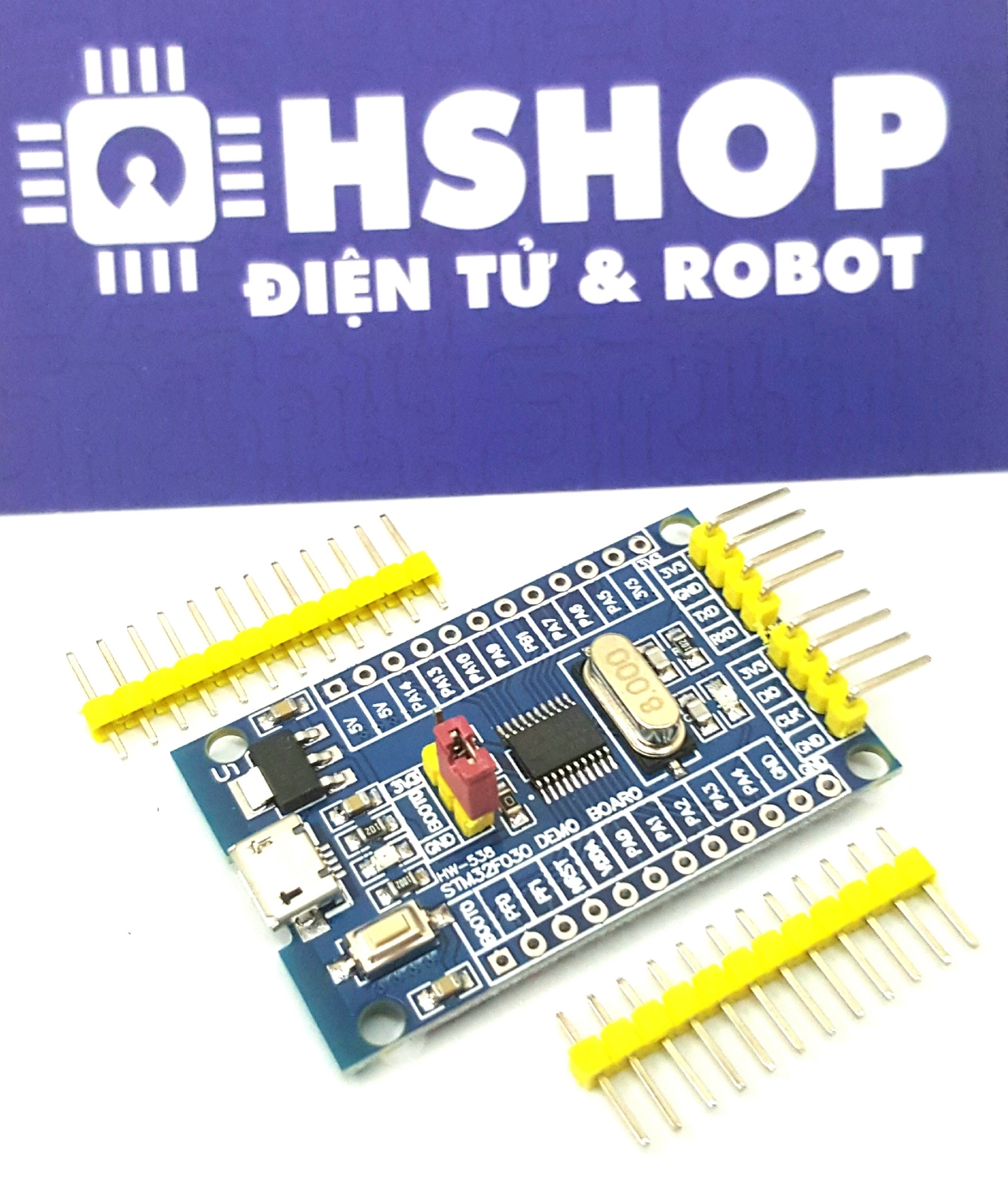 Kit phát triển STM32F030F4P6