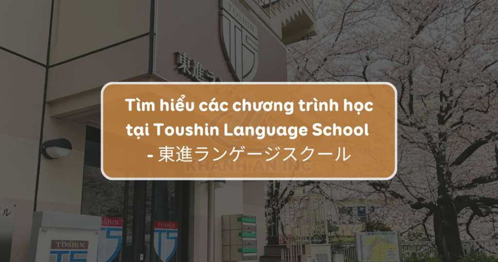 Các chương trình học của trường Nhật ngữ Toshin – 東進ランゲージスクール