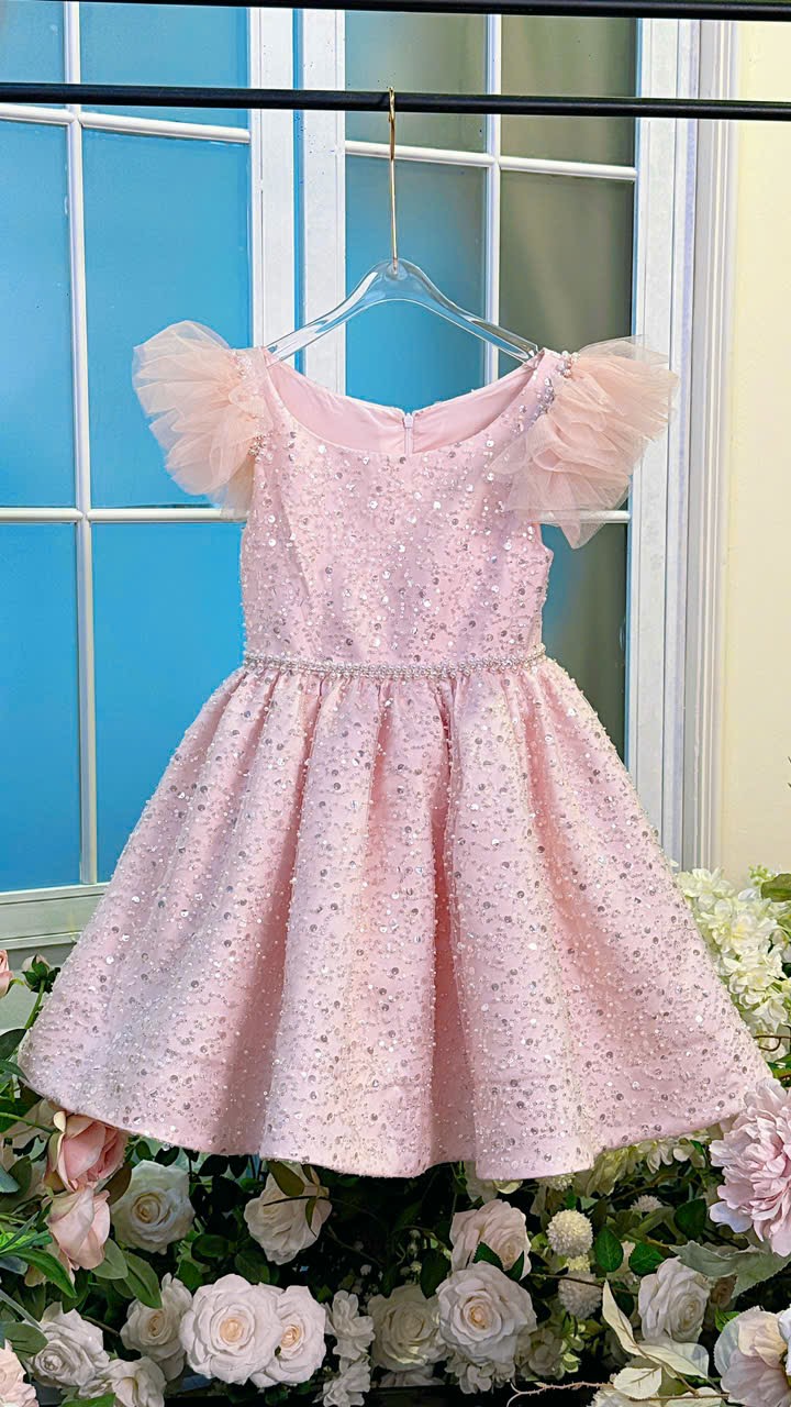 Váy Công Chúa Phát Sáng Cho Bé PS09