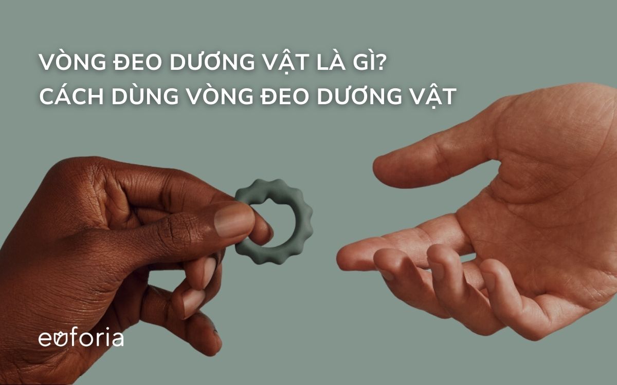 Vòng đeo dương vật là gì và có tác dụng gì? Cách sử dụng như thế nào?