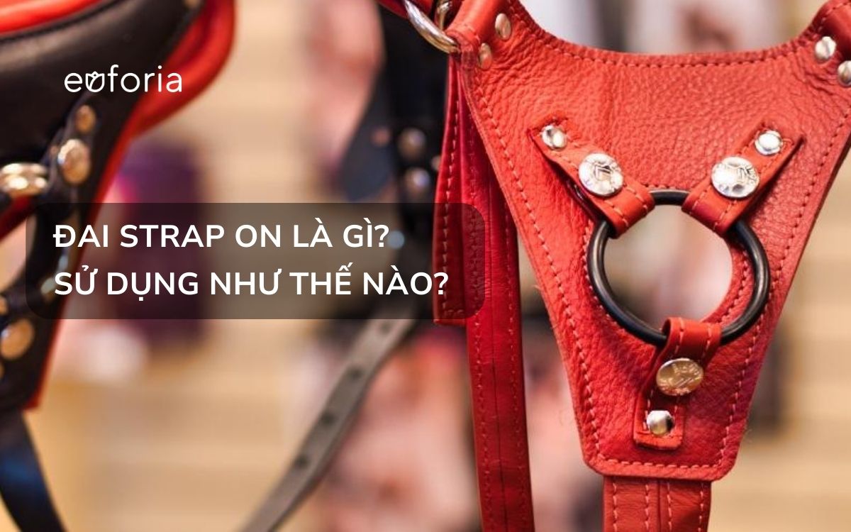 Đai đeo dương vật giả strap on là gì? Cách chọn mua và sử dụng strap on