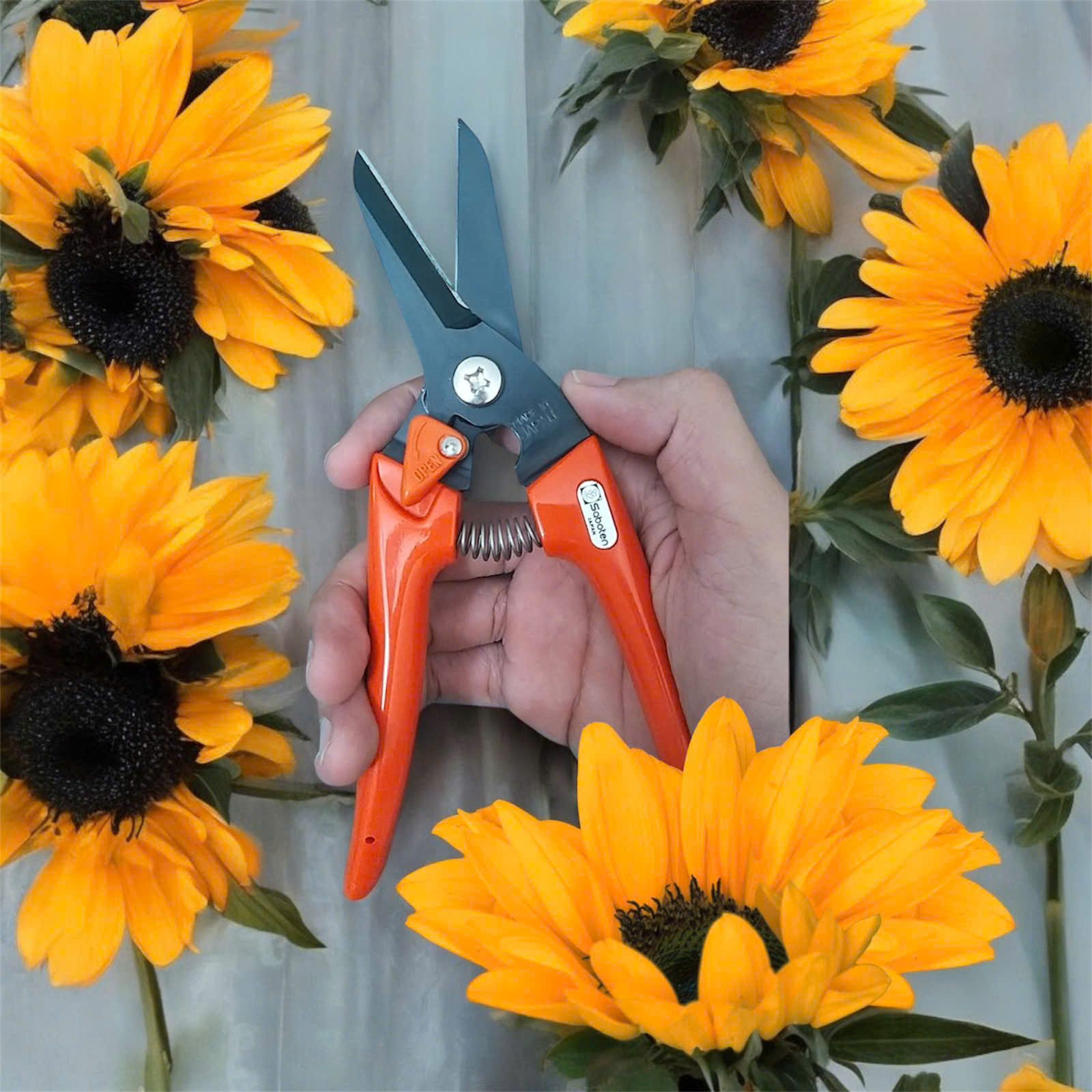 Cách Chọn Kéo Cắt Cành Chất Lượng, Hiệu Quả