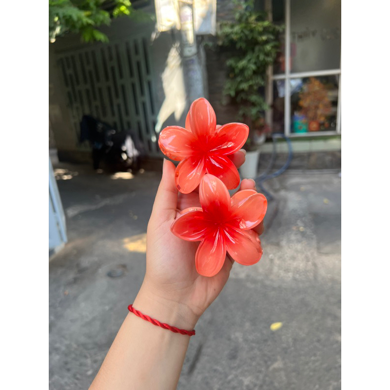 Kẹp Tóc Hoa Sứ Có Nhiều Màu Sắc Rực Rỡ 8cm Thích Hợp Đi Biển