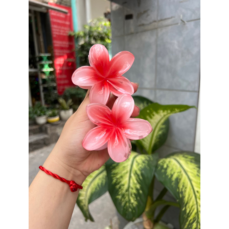 Kẹp Tóc Hoa Sứ 8cm Nhiều Màu Sắc Thích Hợp Đễ Đi Biển