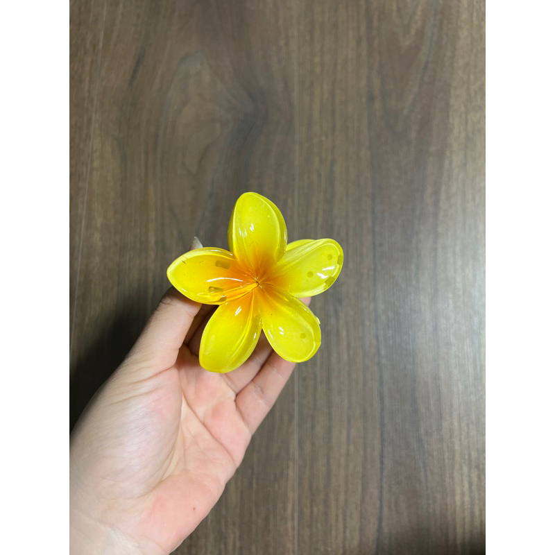 Kẹp Tóc Hoa Sứ 8cm Nhiều Màu Sắc Thích Hợp Đễ Đi Biển