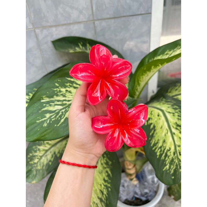 Kẹp Tóc Hoa Sứ 8cm Nhiều Màu Sắc Thích Hợp Đễ Đi Biển