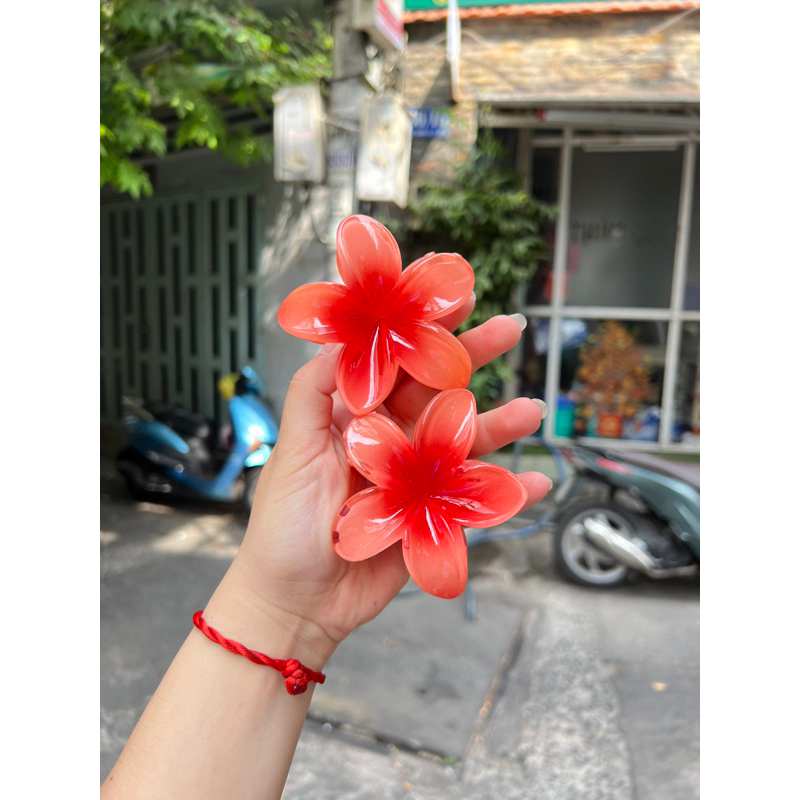 Kẹp Tóc Hoa Sứ 8cm Nhiều Màu Sắc Thích Hợp Đễ Đi Biển