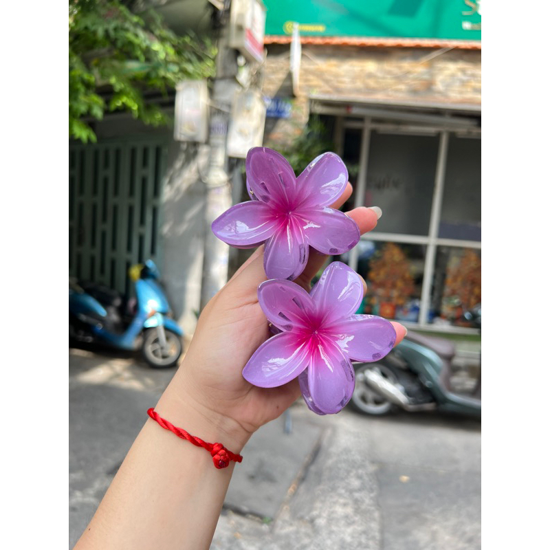 Kẹp Tóc Hoa Sứ 8cm Nhiều Màu Sắc Thích Hợp Đễ Đi Biển