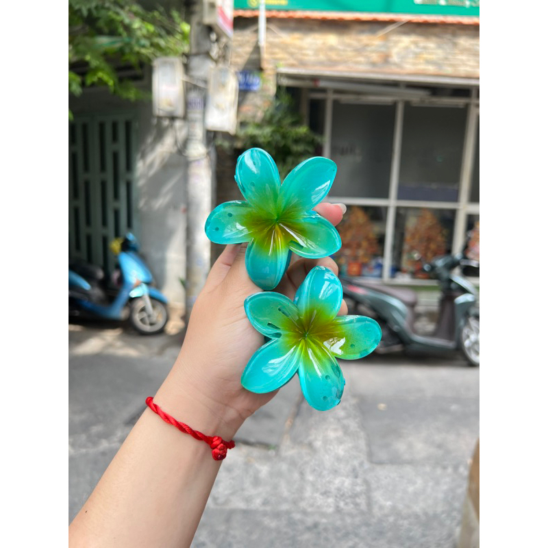Kẹp Tóc Hoa Sứ 8cm Nhiều Màu Sắc Thích Hợp Đễ Đi Biển