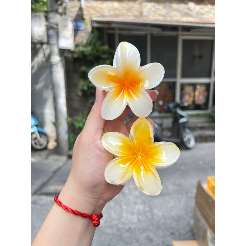 Kẹp Tóc Hoa Sứ 8cm Nhiều Màu Sắc Thích Hợp Đễ Đi Biển