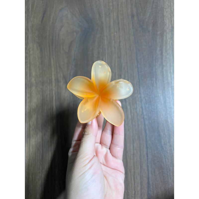 Kẹp Tóc Hoa Sứ 8cm Nhiều Màu Sắc Thích Hợp Đễ Đi Biển