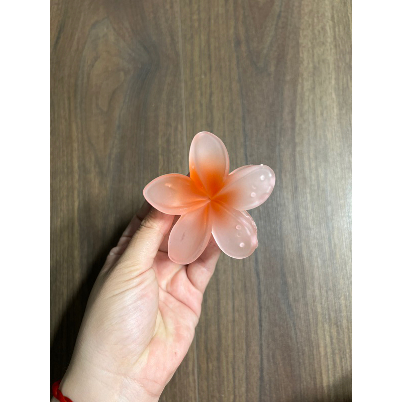 Kẹp Tóc Hoa Sứ 8cm Nhiều Màu Sắc Thích Hợp Đễ Đi Biển