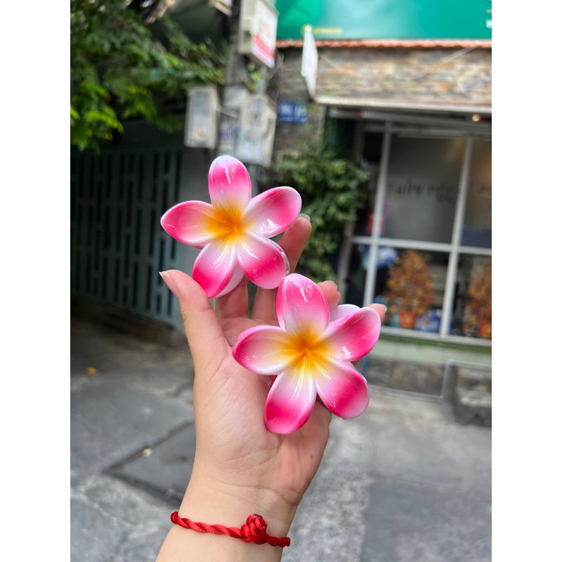 Kẹp Tóc Hoa Sứ 8cm Kẹp Tóc Càng Cua Kẹp Tóc Đi Biển Nhiều Màu Sắc Rực Rỡ Dành Cho Bạn Gái