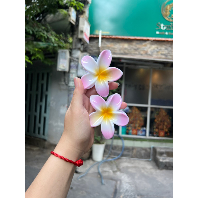 Kẹp Tóc Hoa Sứ 8cm Kẹp Tóc Càng Cua Kẹp Tóc Đi Biển Nhiều Màu Sắc Rực Rỡ Dành Cho Bạn Gái