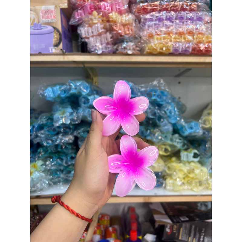 Kẹp Tóc Hoa Sứ 8cm Kẹp Tóc Càng Cua Kẹp Tóc Đi Biển Nhiều Màu Sắc Rực Rỡ Dành Cho Bạn Gái