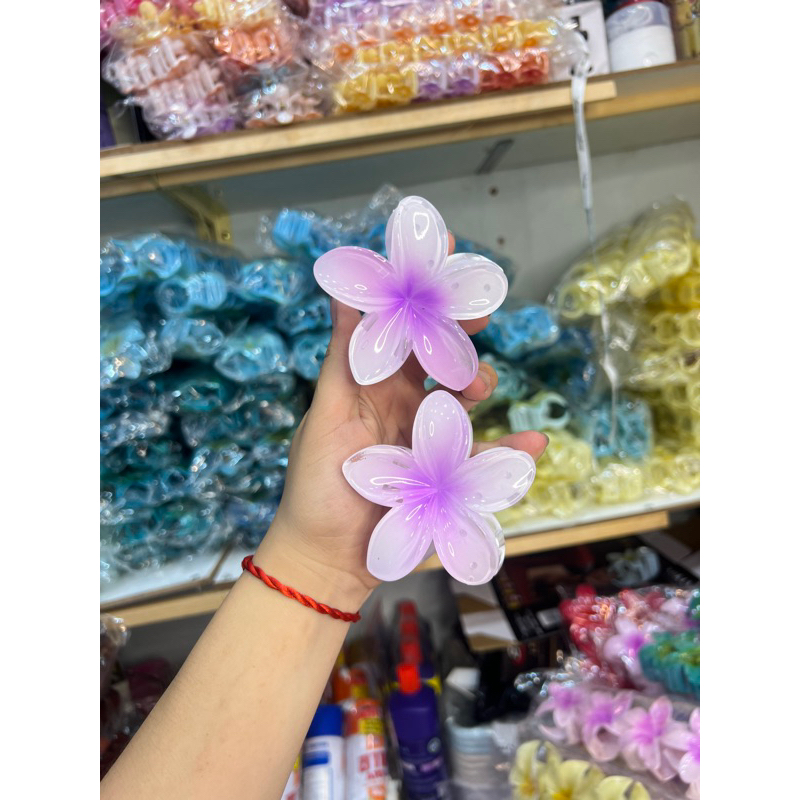 Kẹp Tóc Hoa Sứ 8cm Kẹp Tóc Càng Cua Kẹp Tóc Đi Biển Nhiều Màu Sắc Rực Rỡ Dành Cho Bạn Gái