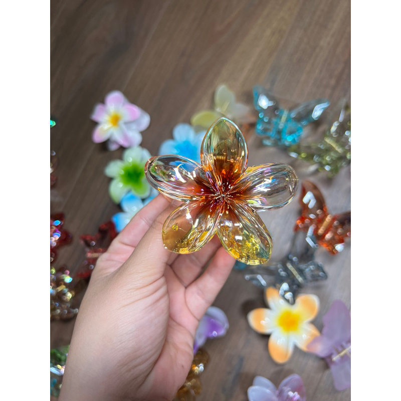 Kẹp Tóc Hoa Sứ 8cm Kẹp Tóc Càng Cua Kẹp Tóc Đi Biển Nhiều Màu Sắc Rực Rỡ Dành Cho Bạn Gái