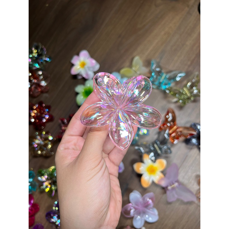 Kẹp Tóc Hoa Sứ 8cm Kẹp Tóc Càng Cua Kẹp Tóc Đi Biển Nhiều Màu Sắc Rực Rỡ Dành Cho Bạn Gái