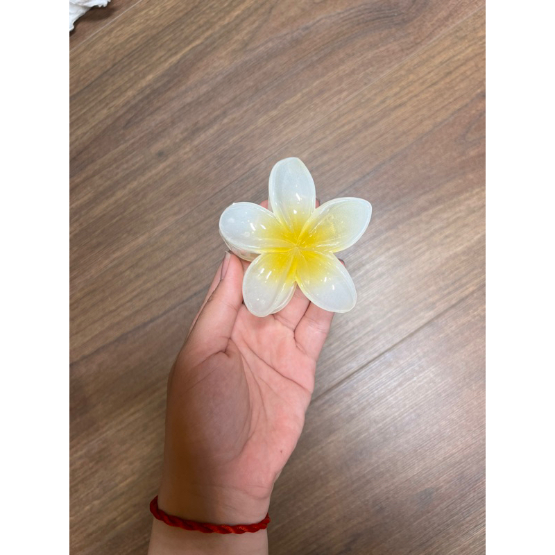 Kẹp Tóc Hoa Sứ 8cm Kẹp Tóc Càng Cua Kẹp Tóc Đi Biển Nhiều Màu Sắc Rực Rỡ Dành Cho Bạn Gái