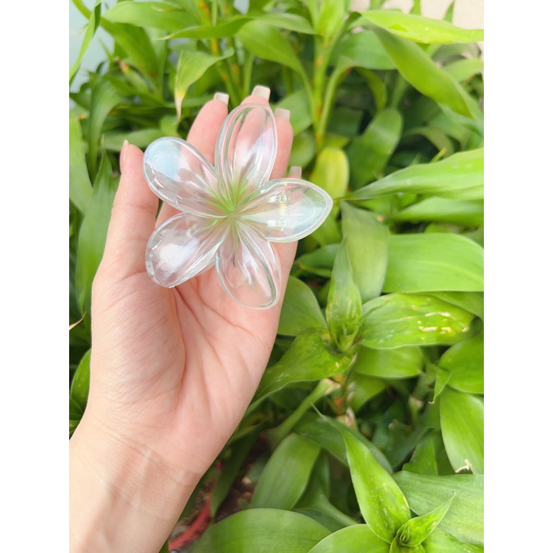 Kẹp Tóc Hoa Sứ 8cm Kẹp Tóc Càng Cua Kẹp Tóc Đi Biển Nhiều Màu Sắc Rực Rỡ Dành Cho Bạn Gái