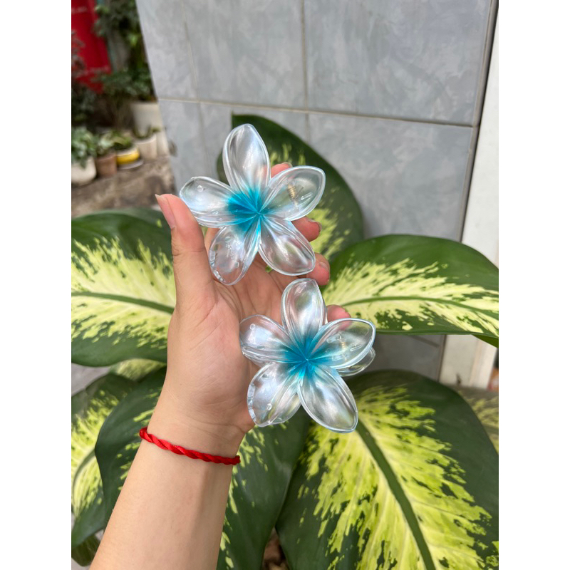 Kẹp Tóc Hoa Sứ 8cm Kẹp Tóc Càng Cua Kẹp Tóc Đi Biển Nhiều Màu Sắc Rực Rỡ Dành Cho Bạn Gái