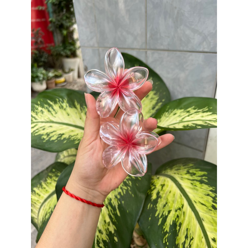 Kẹp Tóc Hoa Sứ 8cm Kẹp Tóc Càng Cua Kẹp Tóc Đi Biển Nhiều Màu Sắc Rực Rỡ Dành Cho Bạn Gái