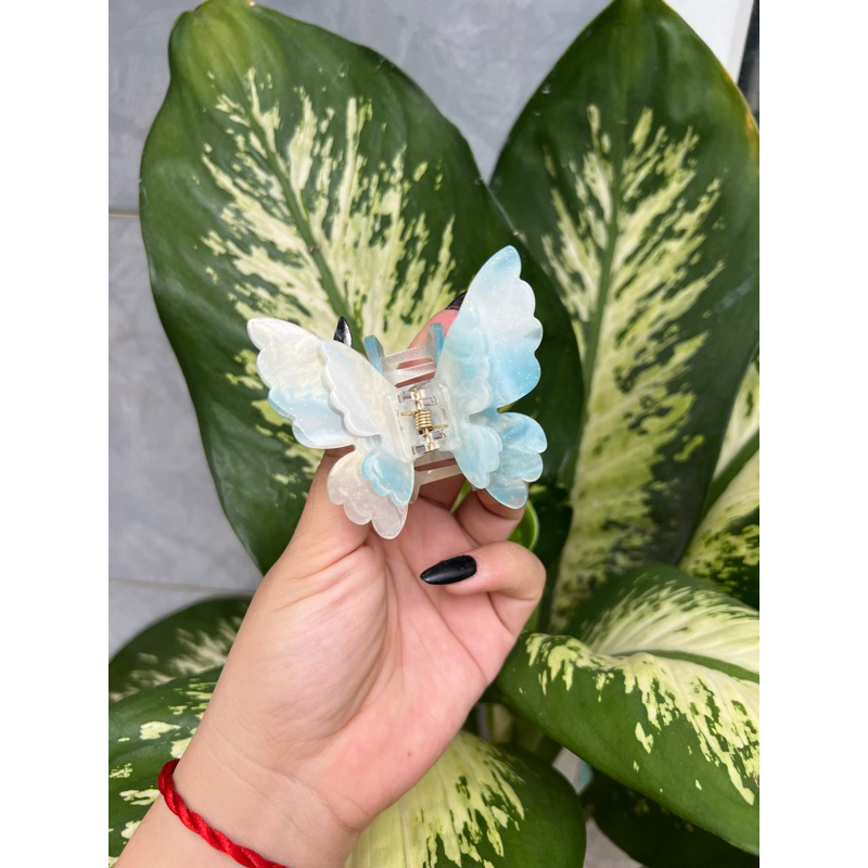 Kẹp Tóc Hình Bướm Xà Cừ 2 Lớp - Kẹp Bướm Đổi màu Sang Trọng Dành Cho Nữ Thích Hợp Đễ Tặng Quà, Dịp Lễ