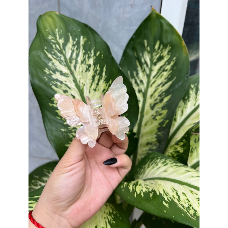 Kẹp Tóc Hình Bướm Xà Cừ 2 Lớp - Kẹp Bướm Đổi màu Sang Trọng Dành Cho Nữ Thích Hợp Đễ Tặng Quà, Dịp Lễ