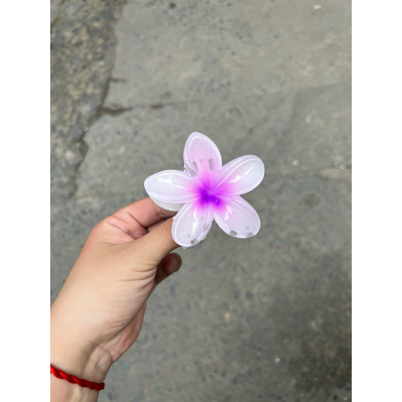 Kẹp Tóc Hoa Sứ 8cm Dành Cho Bạn Gái Thích Hợp Đễ Đi Biển Tặng Quà