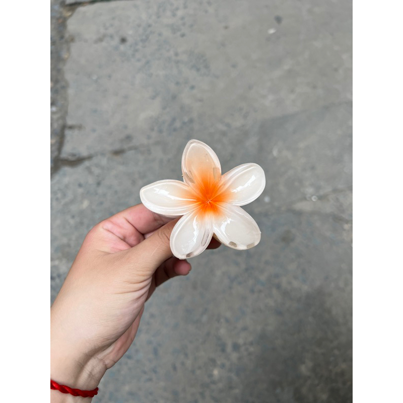 Kẹp Tóc Hoa Sứ 8cm Dành Cho Bạn Gái Thích Hợp Đễ Đi Biển Tặng Quà