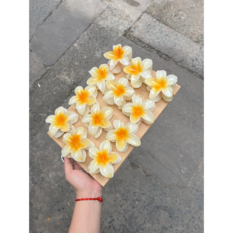 Kẹp Tóc Hoa Sứ 8cm Dành Cho Bạn Gái Thích Hợp Đễ Đi Biển Tặng Quà