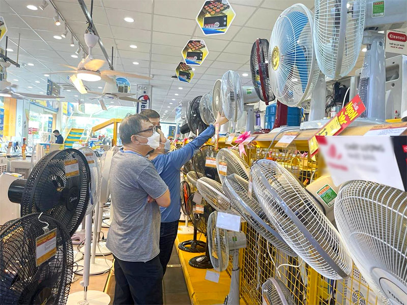 Top 5 Mẫu Quạt Điện Chinghai Được Ưa Chuộng Nhất 2024