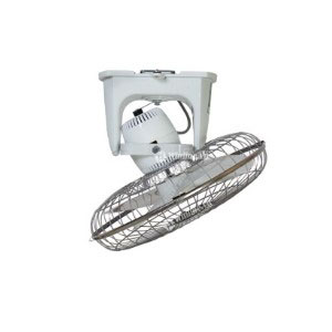 Quạt đảo trần