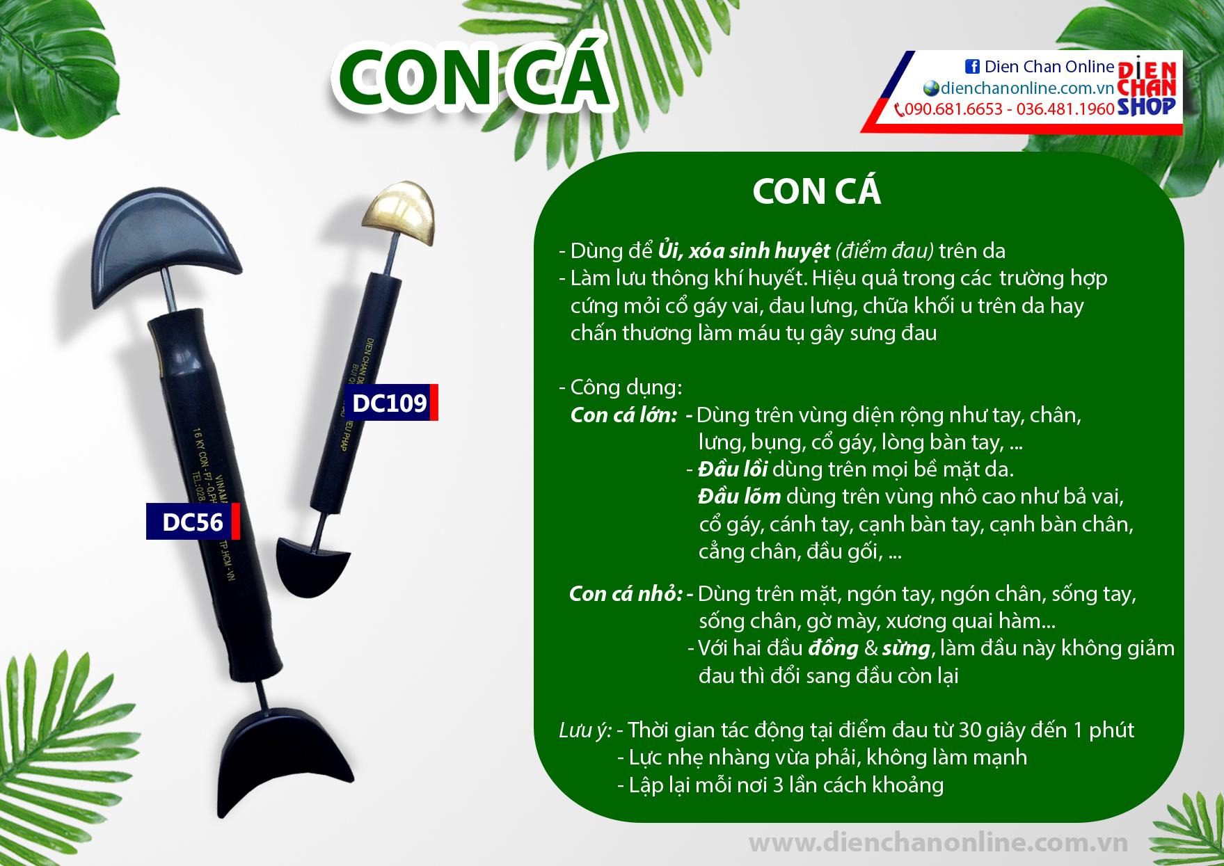 Cách sử dụng dụng cụ con cá lớn, con cá nhỏ