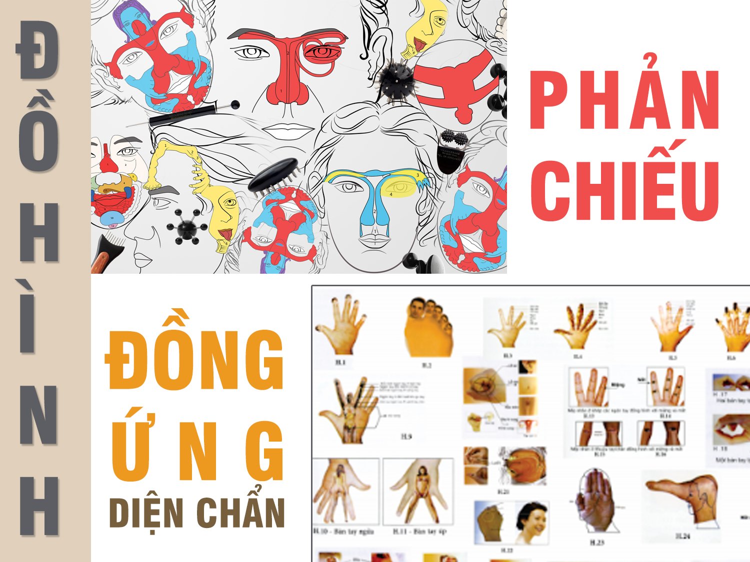 ĐỒ HÌNH ĐỒNG ỨNG DIỆN CHẨN ĐIỀU KHIỂN LIỆU PHÁP