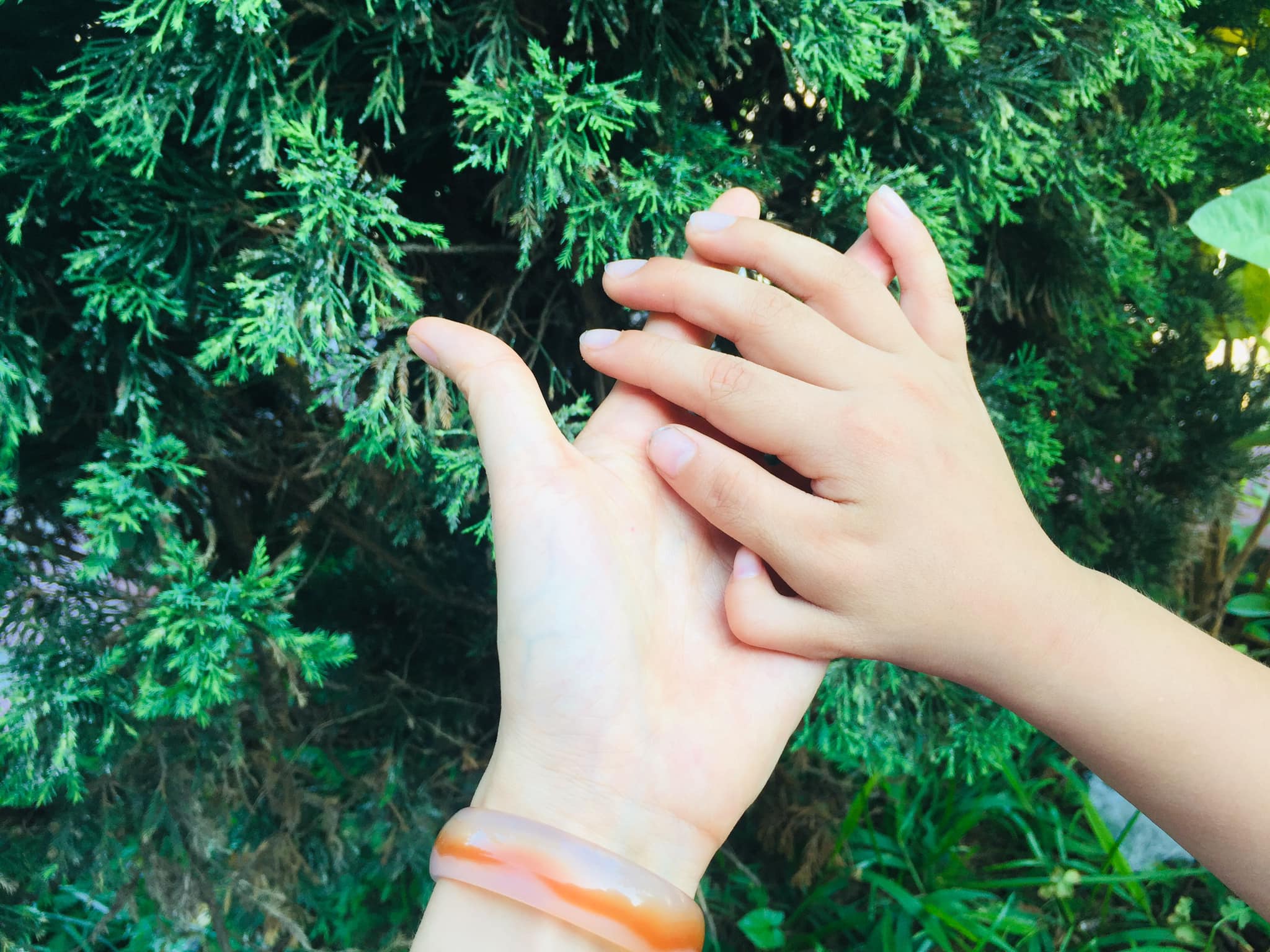 Phục hồi chấn thương, phẫu thuật xương bằng Diện Chẩn