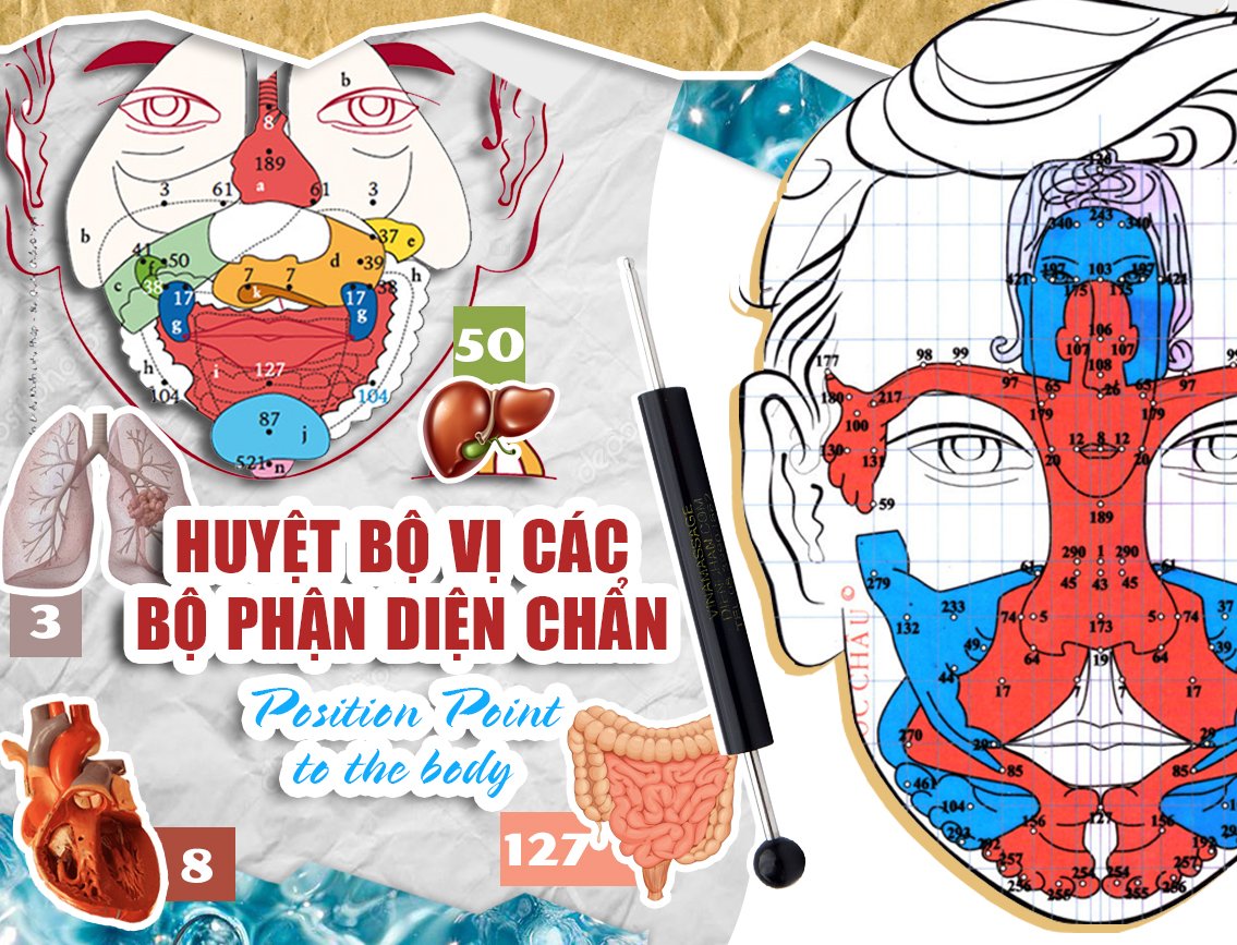 BỘ VỊ PHỔI DIỆN CHẨN HỖ TRỢ CẢI THIỆN VIÊM PHỔI VÀ TRÀN DỊCH MÀNG PHỔI QUA CÁC HUYỆT BQC ĐƯỢC ĐÁNH SỐ