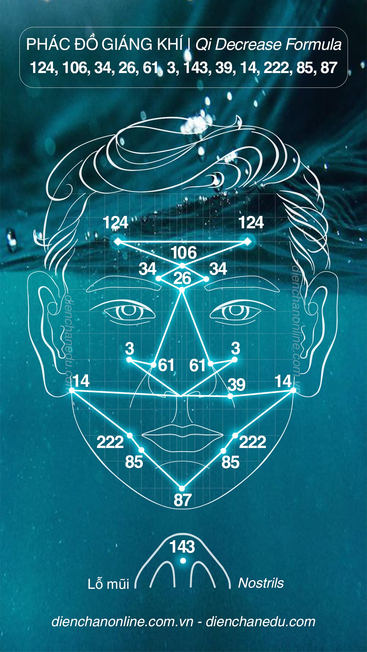 PHÁC ĐỒ GIÁNG KHÍ | Qi Decrease Formula