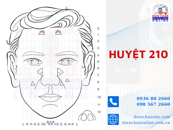 HUYỆT SỐ 210