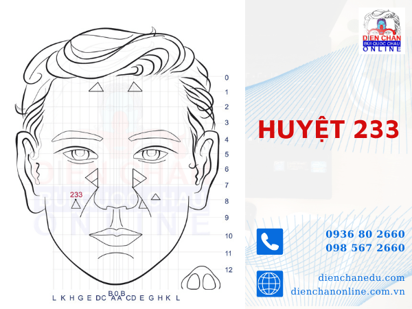 HUYỆT SỐ 233