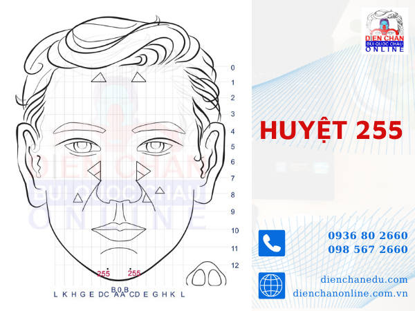 HUYỆT 255