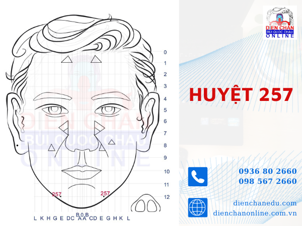 HUYỆT 257