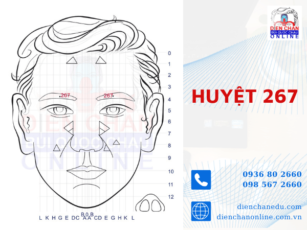 HUYỆT SỐ 267
