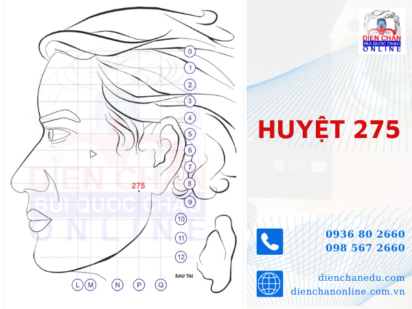 HUYỆT SỐ 275